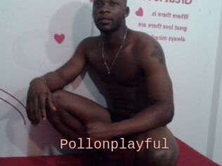 Pollonplayful