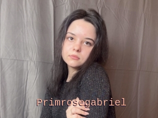 Primrosegabriel