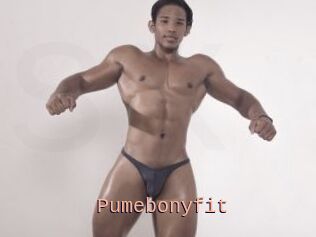 Pumebonyfit