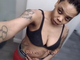 Raven_Stud