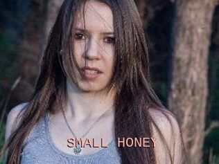 SMALL_HONEY