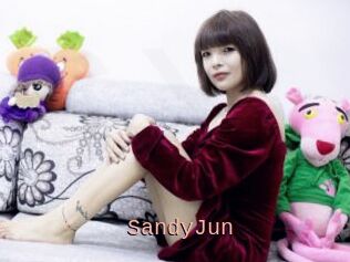 SandyJun