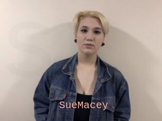 SueMacey