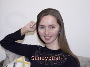 Sandybush