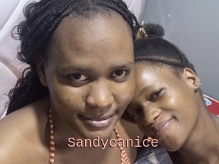 Sandycanice