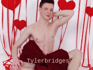 Tylerbridges