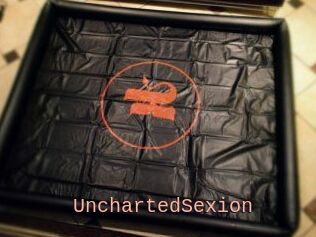 UnchartedSexion