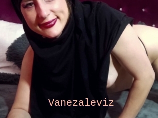 Vanezaleviz