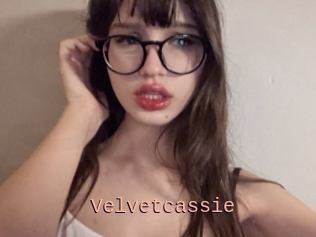 Velvetcassie