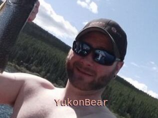 YukonBear